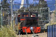 トロッコ列車