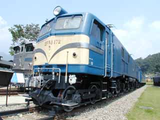 �d�e�T�W�|�P�V�Q