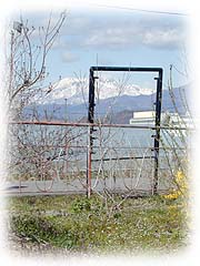 枠だけ