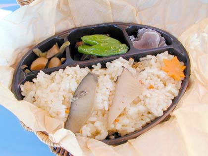 鸂̐������݂߂�