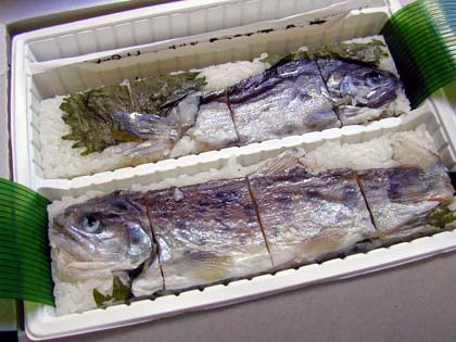 �R�����p����