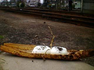 ���ɂ���