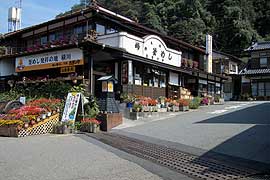 本店