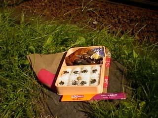 �������ٓ�