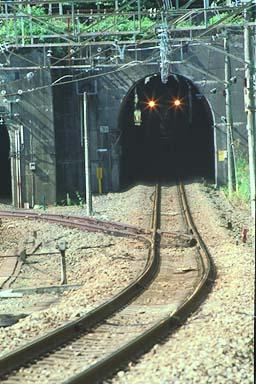 ���R�s�̒��ɂ���d�e�U�R