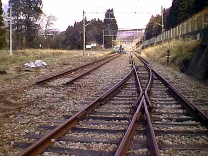 �R�O�j���|�X�g�t��
